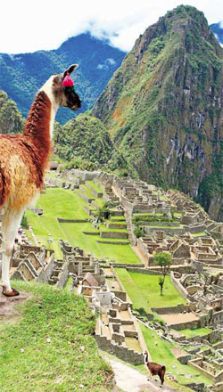 Centro Arqueológico en Machu Picchu Perú