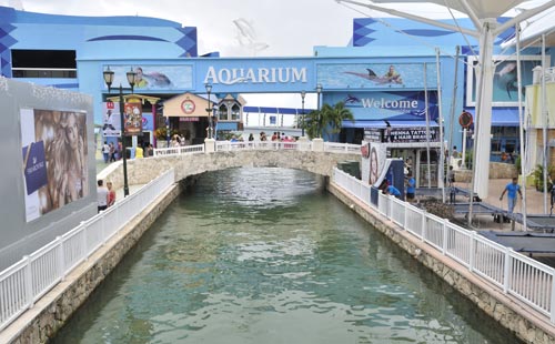  El Aqurium de Cancún es la mejor atracción familiar, más de 140 especies en exibición 