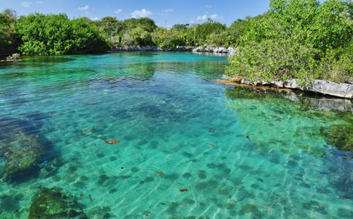 El Parque Xel-Há, localizado en la Rivera Maya, en Quinta Roo, Cancún, bautizado Xel-Há que la lengua Maya que significa 