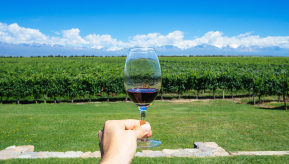 Hablar de Mendoza es referirse a los mejores vinos de Argentina, como el Malbec, que es el más reconocido a nivel mundial, son más de 100 bodegas que puedes visitar  
