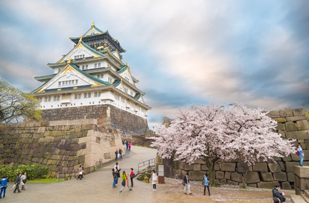 Castillo de Osaka, castillo en Japón