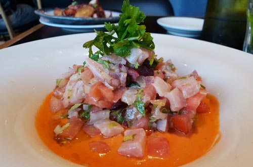 Ceviche de pescado servido en un plato blanco, con bastante salsa de color naranja y adornado con una hoak de apio