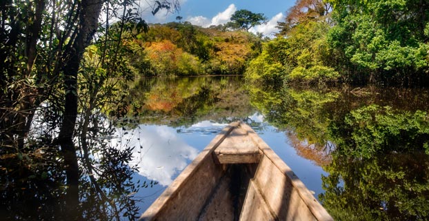 Conoce la selva amazónica y deleitate con sus hermosos paisajes, un plan perfecto para realizar ecoturismo. 