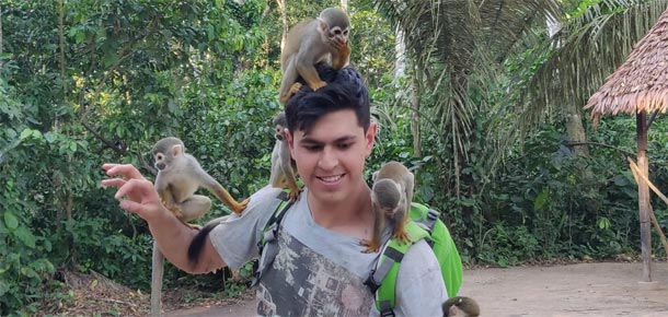 amazonas micos,Tour en la isla de los micos