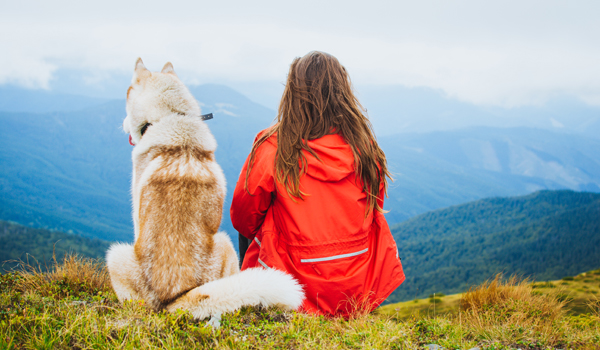 De día se ve una mujer de espaldas junto con su perro, sentados a la orilla de la cima de una montaña contemplando el paisaje