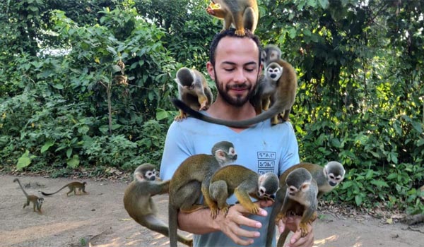 Tour por la Isla de los micos, donde puedes interacturar con ellos y darles de comer bananos