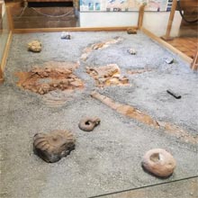  Piezas Arqueológicas Museo Paleontológico