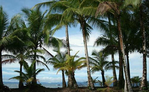 Playas de Nuquí Costa Pacífica de Colombia