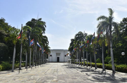 Camino de entrada rodeado de palmeras y al fondo la fachada blanca de San Pedro Alejandrino