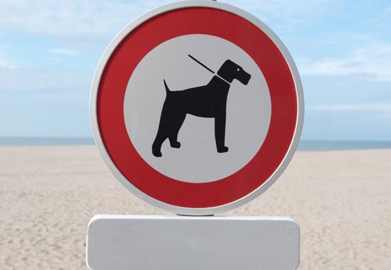 Reglamentación para mascotas en algunos destinos de playa