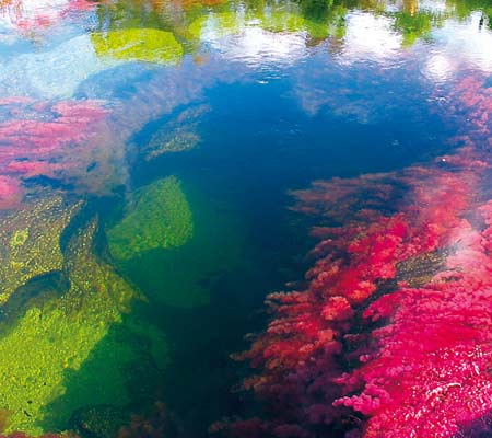 El río más lindo del mundo, recomendaciones para viajar a caño cristales