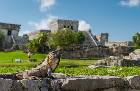 Tulum esta ciudad maya, construida en un acantilado frente al mar, es  uno de los lugares arqueológicos y centro de culto, más importantes de la Riviera Maya. 