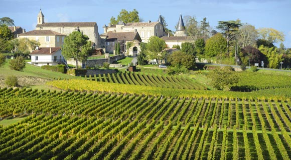 Tour por los viñedos de Francia