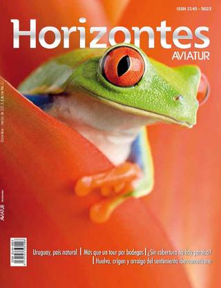 Descargar Revista Horizontes edición número 11
