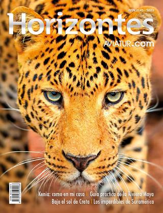 Descargar Revista Horizontes edición número 13