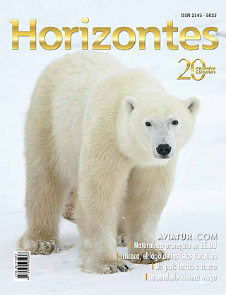 Descargar Revista Horizontes edición número 20 