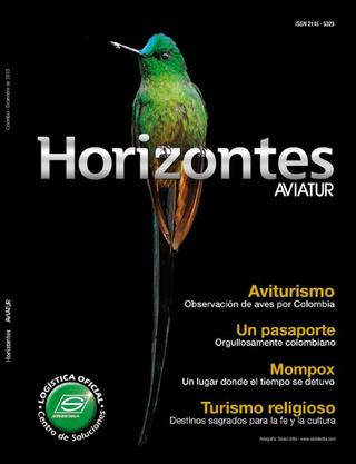 Descargar Revista Horizontes edición número 4