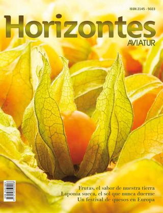 Descargar Revista Horizontes edición número 9
